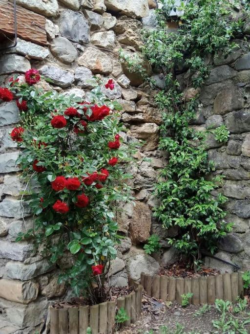La Borda De Sesue Villa Exterior foto